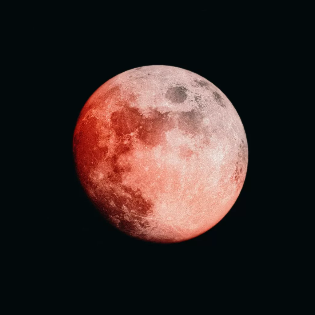 niranjan-_-photographs-CkFVjkeYloQ-unsplash