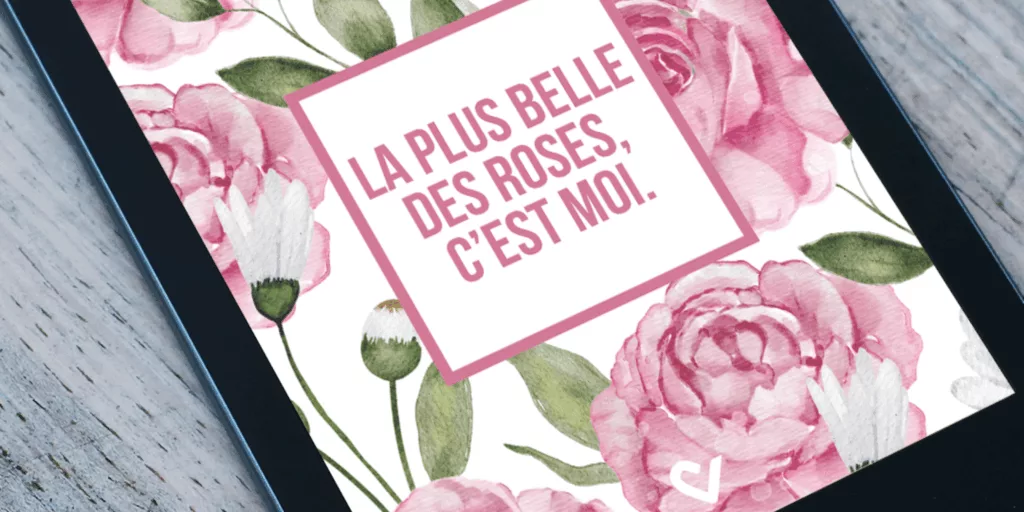 Fond d'écran bannière Saint-Valentin