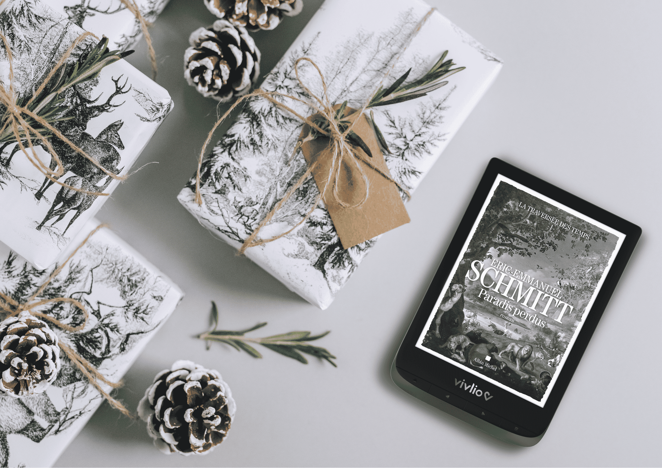 Coffret de Noël liseuse Vivlio